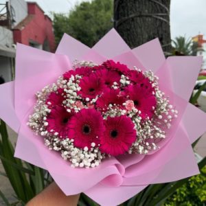 Ramo Gerberas Fucsia