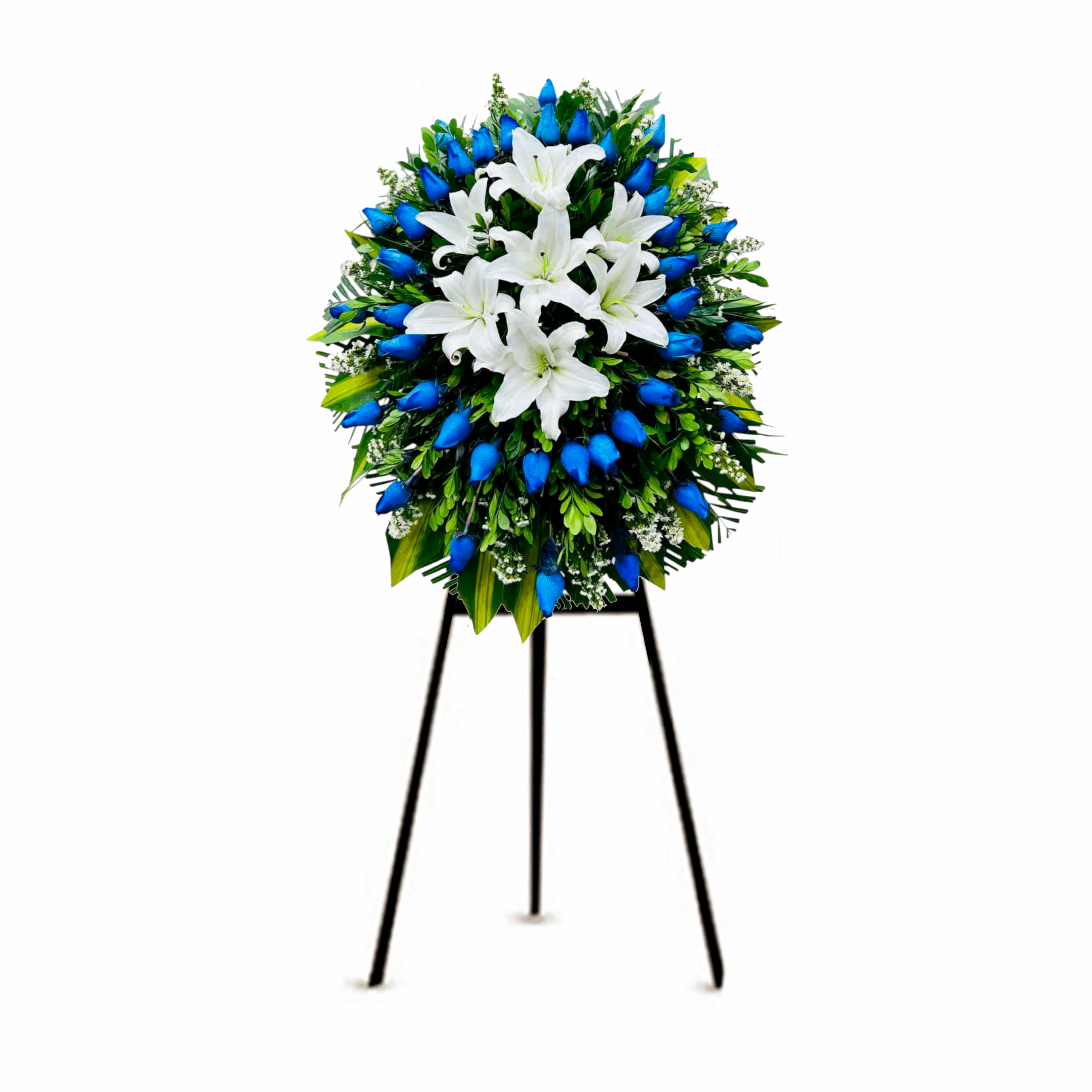 Corona Trípode Azul Premium