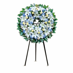 Corona Premium Hortensia Blu