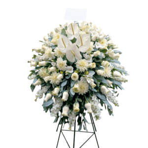 Lagrima Pedestal Paz Anturio