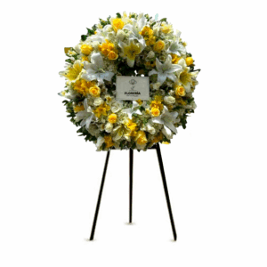 Corona Picaron Amarillo